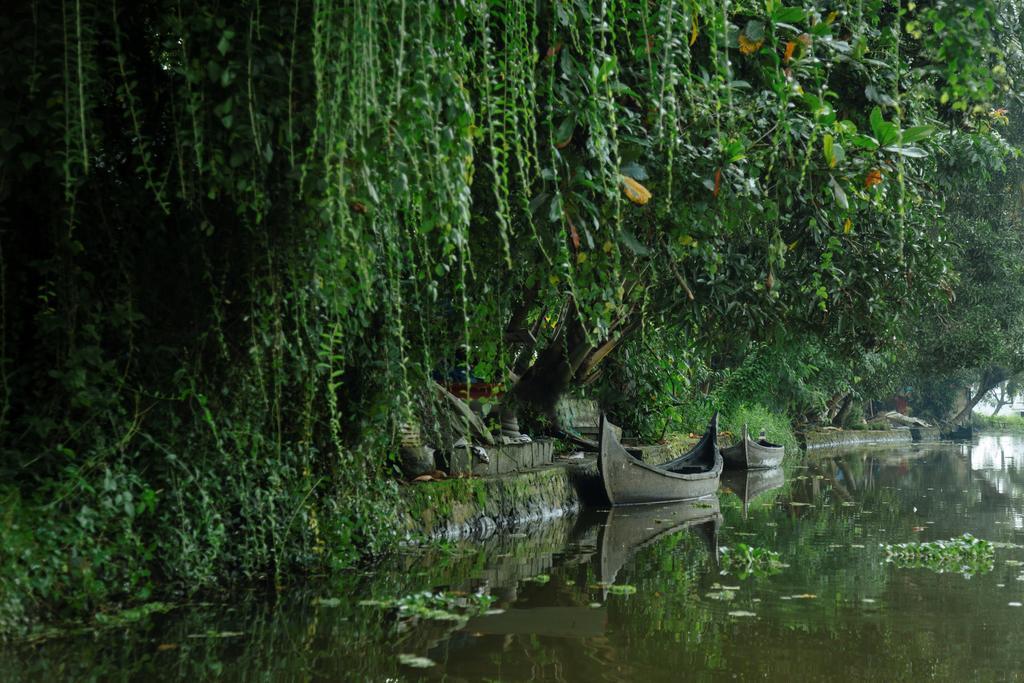 Palmgrove Lake Resort Alappuzha Buitenkant foto