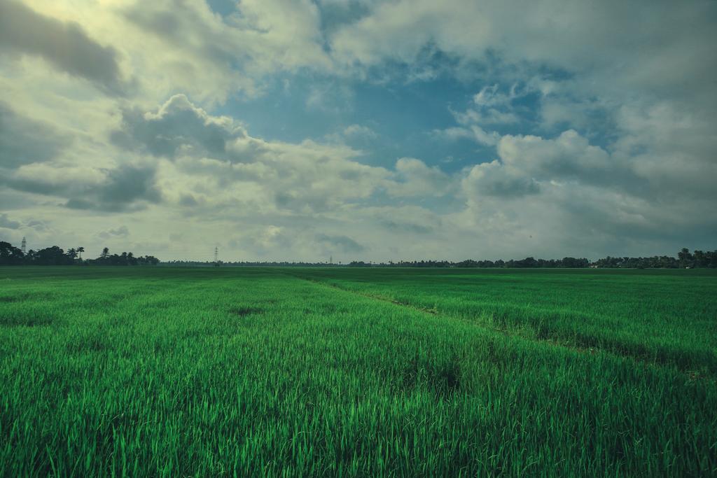 Palmgrove Lake Resort Alappuzha Buitenkant foto
