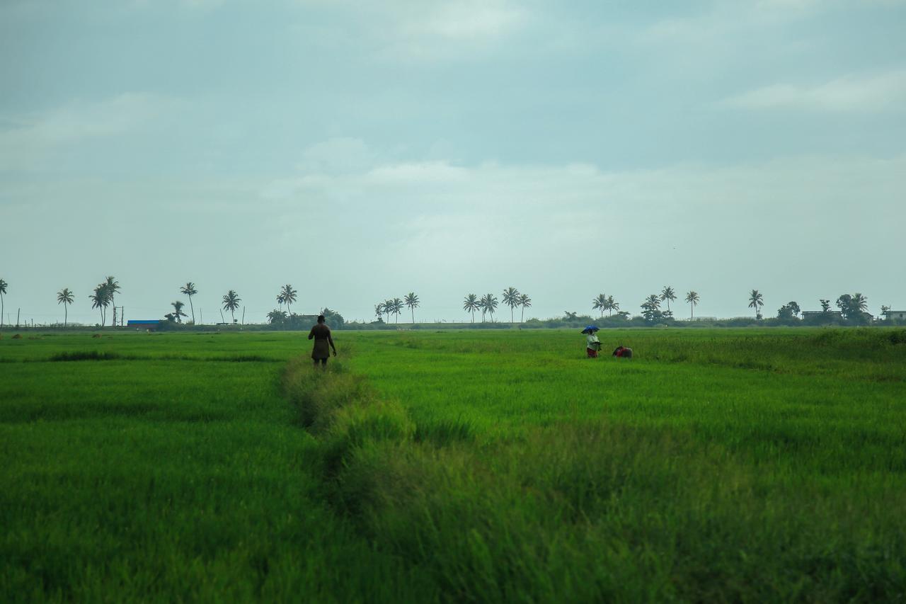 Palmgrove Lake Resort Alappuzha Buitenkant foto
