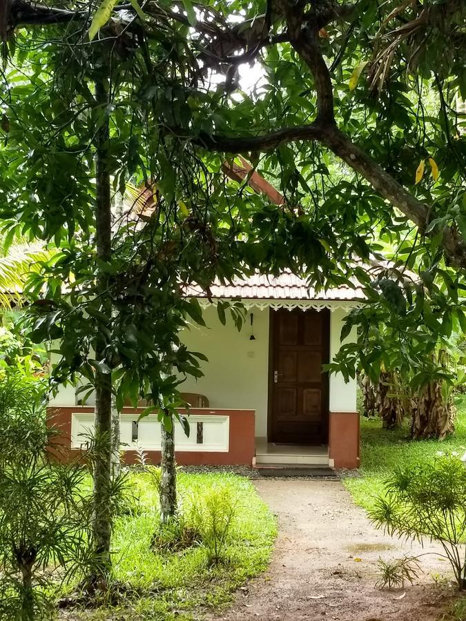 Palmgrove Lake Resort Alappuzha Buitenkant foto